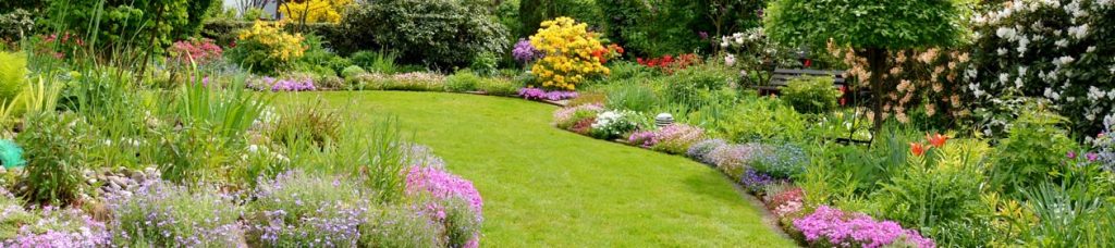 Gartenbauer Hessen: Gartenbau & Gartenpflege