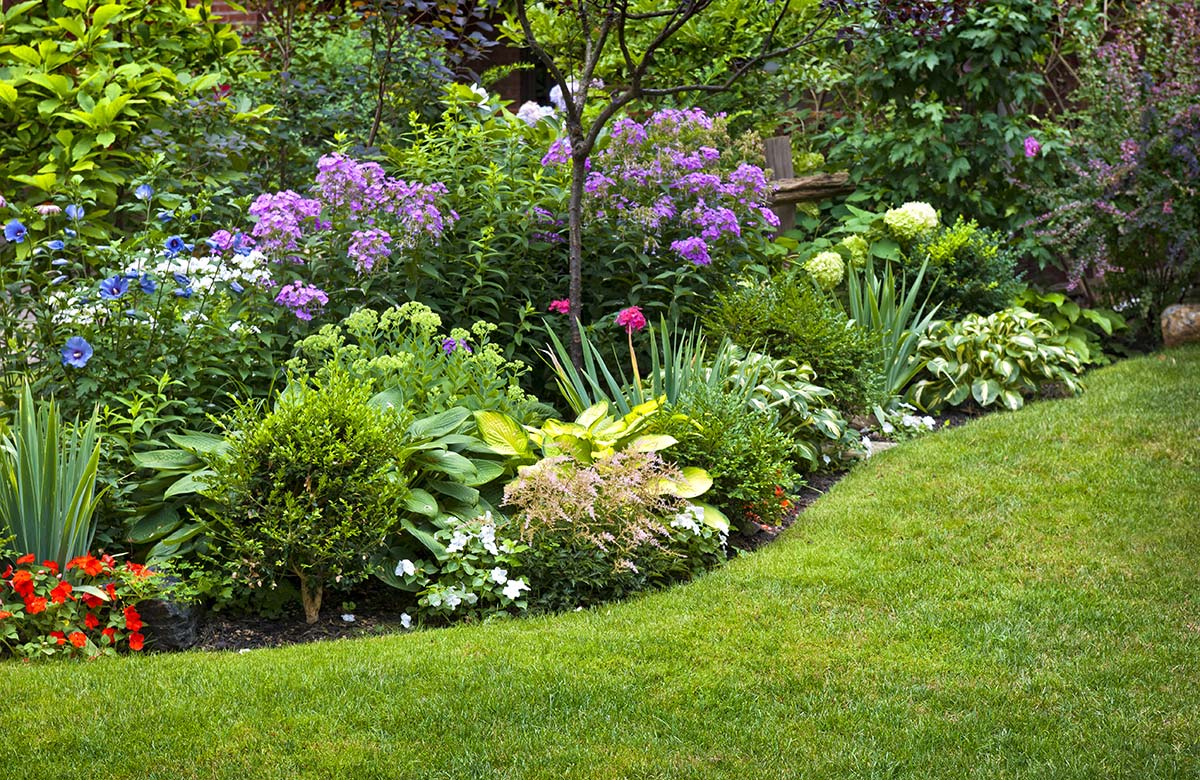 Gartengestaltung mit Rasenfläche und Blumen