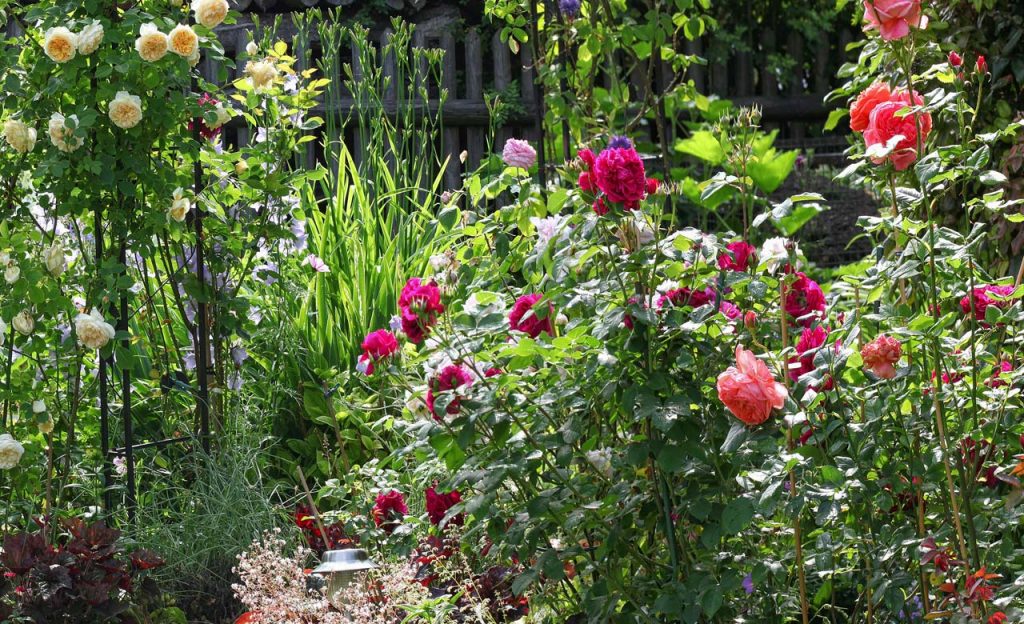 Gartenbauer Schramberg Gartenbau Schramberg