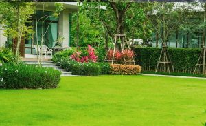 Gartenbauer Lippstadt: Gartenbau Lippstadt