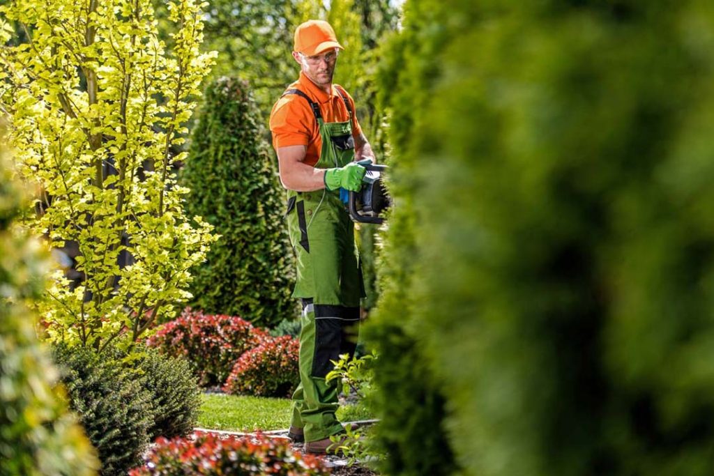 Gartenbauer Brandenburg: Gartenbau & Gartenpflege