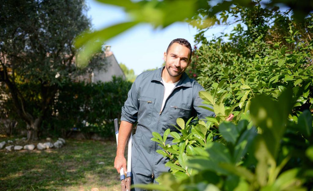 Gartenbauer Bad Oldesloe: Gartenbau Bad Oldesloe