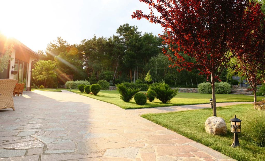 Gartenbauer Wedel: Gartenbau Wedel